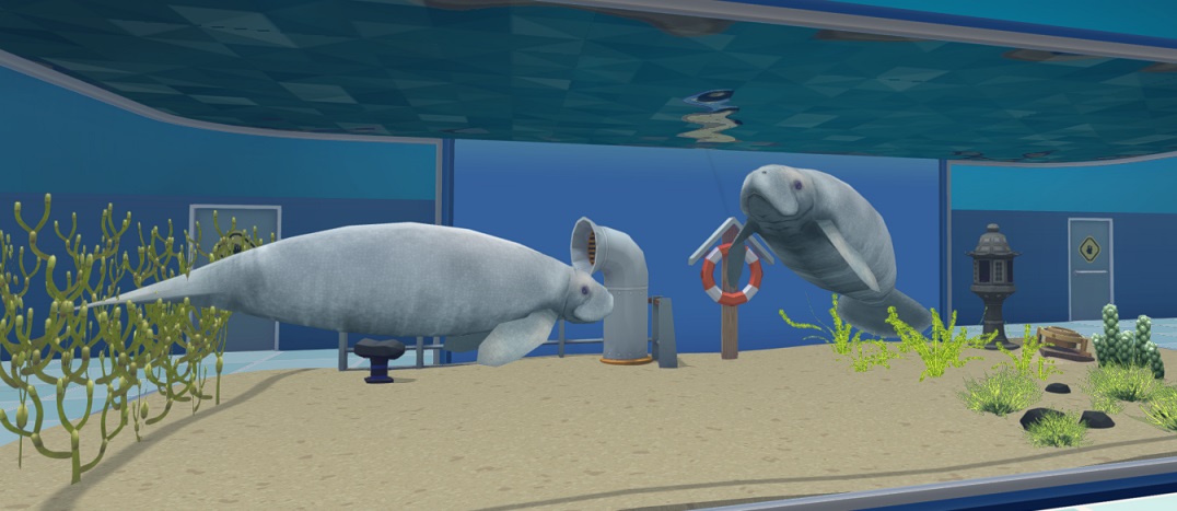 Twee Lamantijnen in een Zoutwateraquarium. Als je ze wil laten voortplanten, moet je hen in een Zoetwateraquarium houden.