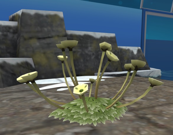 Een Arctic Poppy, met talrijke stengels en bloemhoofden.