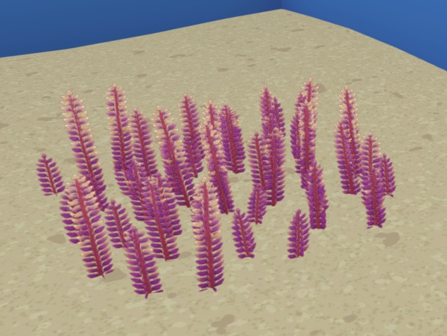 Een roze/rood Asparagus Weed in een Aquarium.