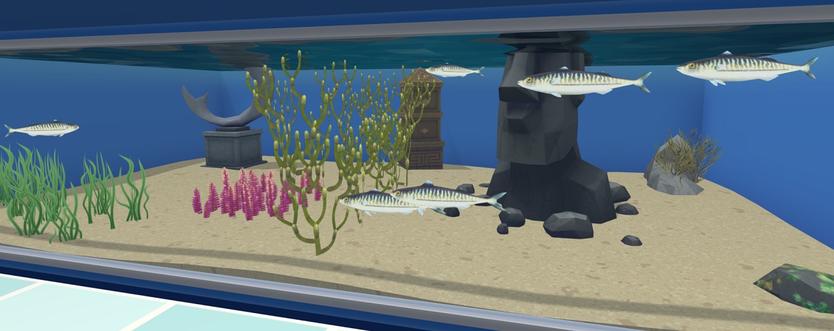 Zes Makrelen zwemmen in hun Aquarium.
