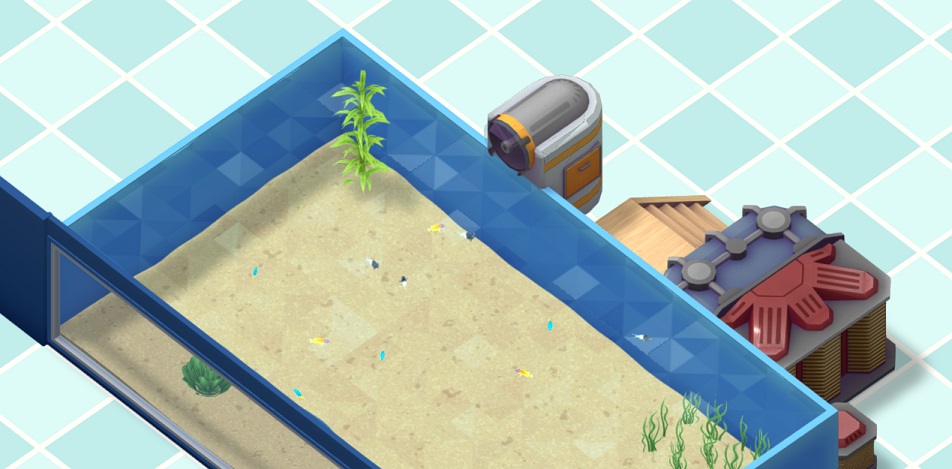 Een Auto-Feeder, gemonteerd aan een Aquarium met kleine, tropische Visjes. Het geheel wordt van bovenaf bekeken.