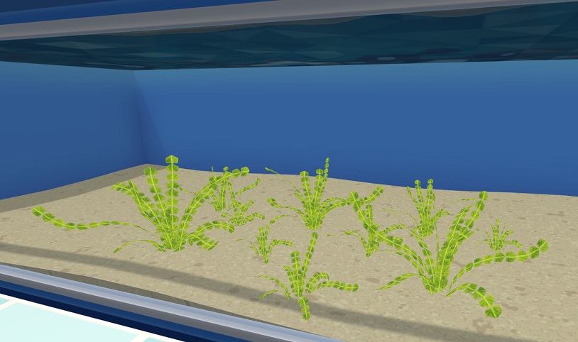 Een Aquarium met daarin een 'Chain Halimeda'-Plantenobject zoals het verschijnt in het spel, bestaande uit vele afzonderlijke planten.