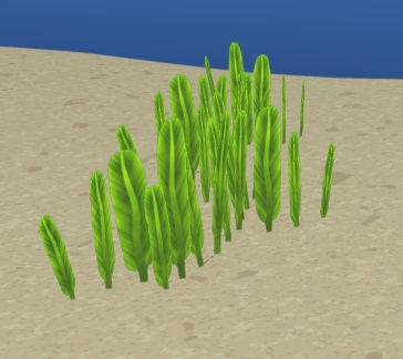 Een Feather Calurpa-plant in een Aquarium. De lichtgroengekleurde Plant bestaat uit stengels die iets weg hebben van vogelveren.