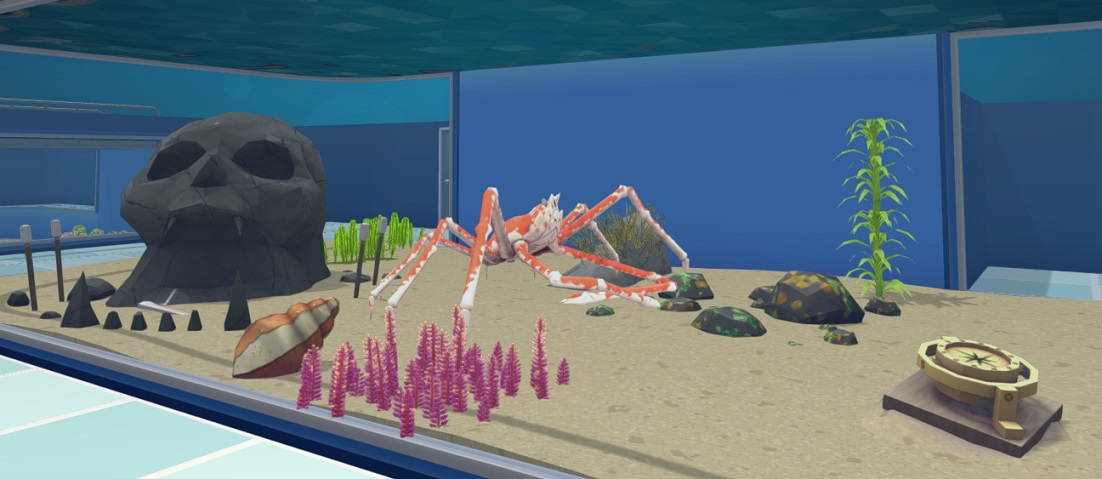 Een Japanse Reuzenkrab loopt op de bodem van zijn Aquarium. De Krab heeft lange, spin-achtige poten en kleine scharen. Het lichaam is zalmroze met witte accenten.