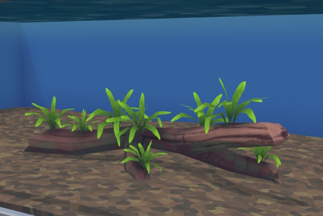 De Javavaren bestaat uit een dikke tak, begroeid met vele Planten.
