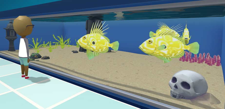 Een Aquarium met vier Zonnevissen. De Vissen zijn heldergeel met witte vlekken, en hebben lange vinstralen. Een Bezoeker bekijkt het Aquarium van links.