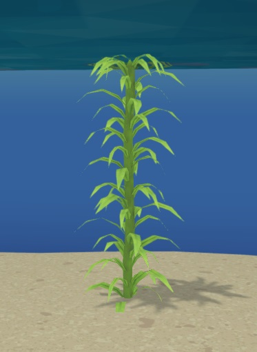 Kelp komt in Megaquarium met één Plant tegelijk, maar in De Vrije Natuur vind je dikwijls vele van deze Planten samen. De Kelp-plant bestaat uit een lange verticale stengel, begroeid met langwerpige bladeren.