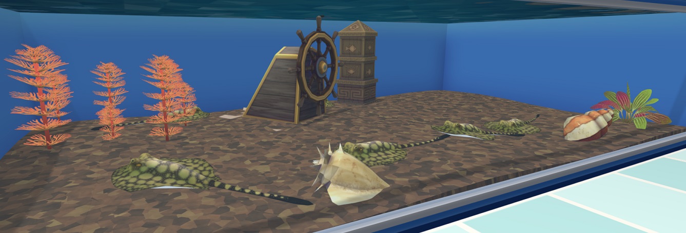 Zes Porcupine River Stingrays in hun Zoetwaterbak, met een Roer, een Schelphoorn, een Slakkenhuisschelp, een Azteekse Kolom en enkele Planten. Er liggen géén Rotsen in, daar deze schadelijk zijn voor de Roggen.