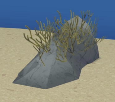 Rubberweed bestaat uit een rotsblok, begroeid met geelbruin zeewier.