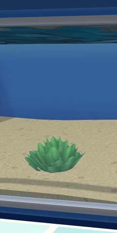 Zeesla in een Aquarium. De Plant lijkt sterk op een gewone krop sla.