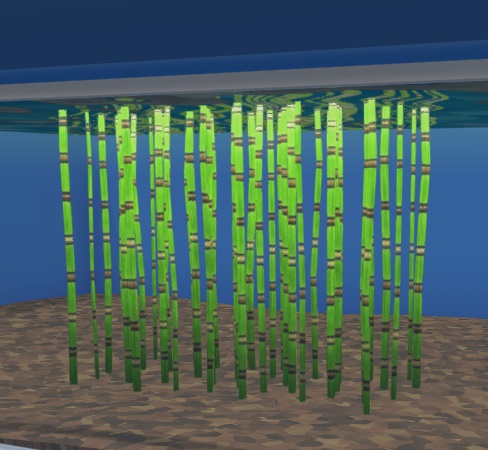 Paardenstaarten lijken op Bamboestengels: groen en gesegmenteerd, maar dan onder water.