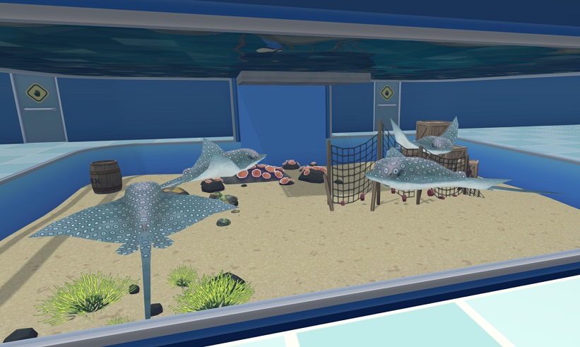 Drie Gevlekte Adelaarsroggen in hun Aquarium. De Vissen zijn blauwgrijs met wit-zwarte stippen, en ze hebben een lange (giftige) staart. Bovenaan, aan de waterspiegel, is het spiegelbeeld van een voederende Aquarist zichtbaar.