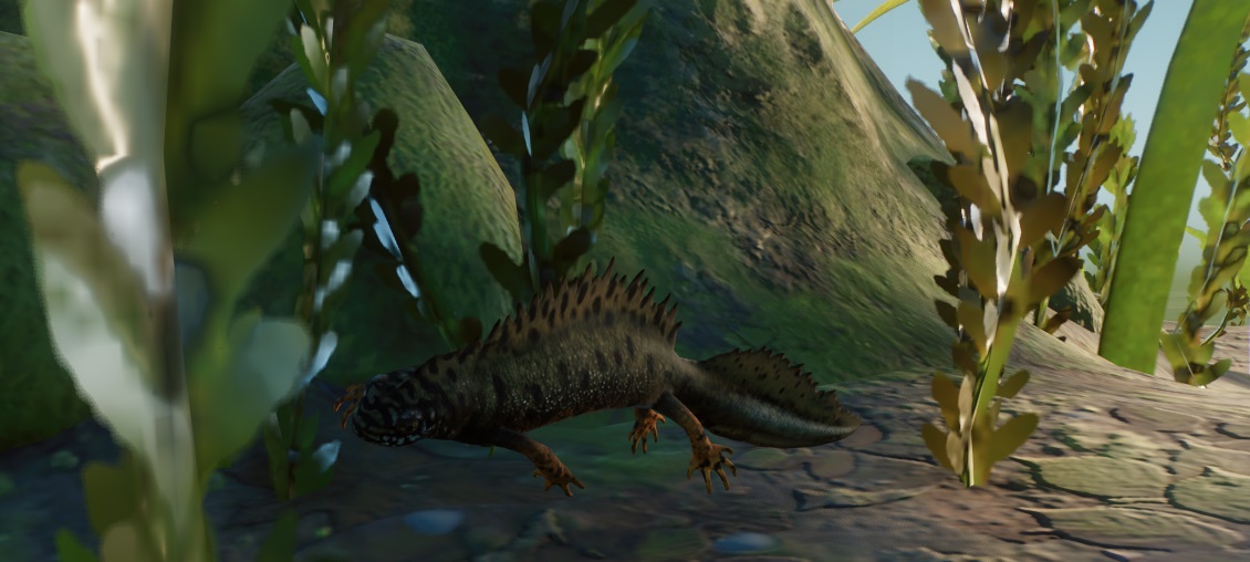 Zij-aanzicht van een Donaukamsalamander tussen de waterplanten van zijn Vivarium. De Salamander kijkt naar links en achter het Dier loopt de bodem omhoog naar de oever.