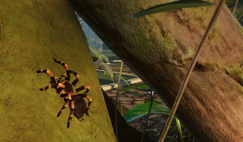 Close-up van een Mexicaanse Roodknievogelspin, op een boom in zijn/haar Vivarium, met de kop naar linksboven gericht. De Spin heeft inderdaad  rode en gele accenten, niet alleen op de 'knieën' maar ook op de poten en het kopborststuk.