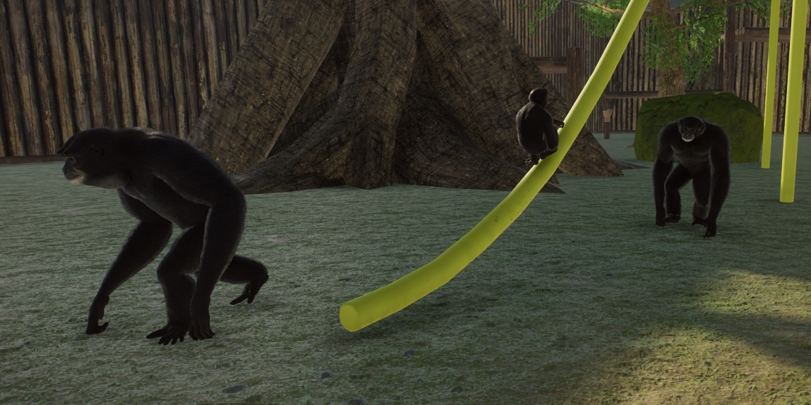 Twee Siamangs lopen van rechts naar links voorbij. Tussen hen speelt een jong op een gele, metalen stang van een klimrek. Achteraan staan de stam van een enorme boom en daarachter beginnen de houten Verblijfsmuren.