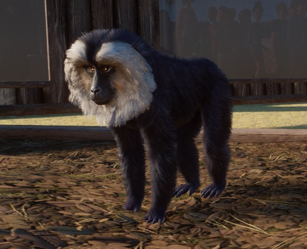 Een Wanderoe staat op vier poten in de foerageerkist.