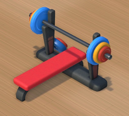Een 'Bench Press'-installatie bestaat uit een rode ligbank, met daarond twee houders die een stel halters op hun plaats houden. De bedoeling is dat de Student op de bank gaat liggen, en de halters keer op keer opdrukt van en naar het lichaam.
