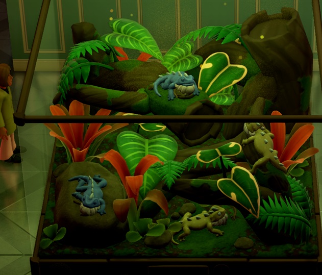 Vier Beardy Lizards in hun Terrarium: middenbovenaan en linksonder zijn de Dieren lichtblauw; middenonderaan en rechtsonderaan zijn ze lichtgeel. Ze hebben allen een witte baard. Een Bezoeker bekijkt het Terrarium van links.