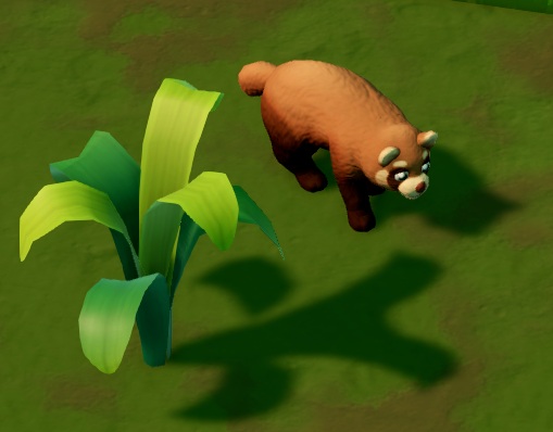 Een Cat-Faced Tree Bear in vogelperspectief, naast een tropische plant. De Beer lijkt sterk op een Rode Panda.