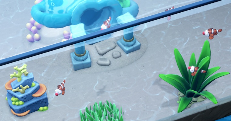 Vijf Clown Fishes zwemmen in hun Aquarium. Iedere Vis heeft opvallende, witte ogen, een clownsneus, en oranje/witte verticale strepen.