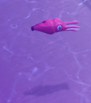 Een Scribble Squid in zijn Aquarium. Zijn achterlijf eindigt in een vulpenpunt.
