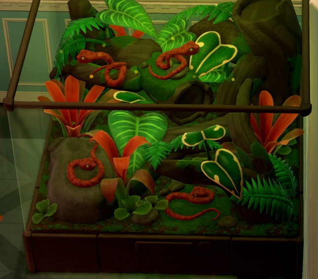 Vier Snakebite Snakes in hun Terrarium. Ze liggen netjes verspreid tussen de planten.