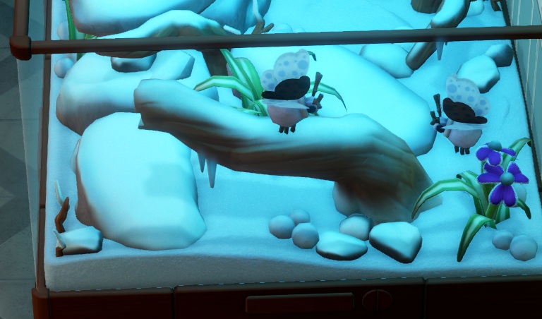 Twee Snowball Moths vliegen rond in hun Toendra-Terrarium. Hun achterlijf is wit en rond, wat ze het uitzicht van een sneeuwbal geeft.