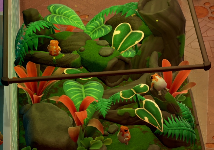 Drie Spineless Toads in hun Terrarium. Linksboven zit één exemplaar met de rug naar ons gekeerd; midden onderaan is een ander te zien en middenrechts ligt een Pad op zijn rug te rusten.