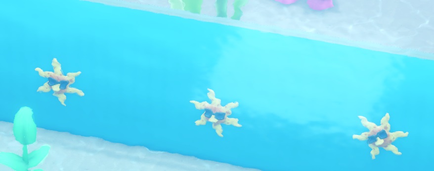 Drie Star Fishes op een rij. De Star Fish ziet eruit als een mini-zon, met zes armen in plaats van vijf, en een zonnebril over de ogen.