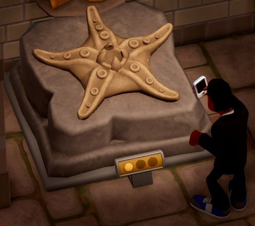 Een Bezoeker fotografeert een Star Fossil.