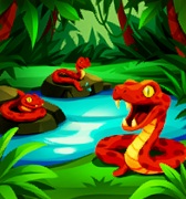 Een rivier in een oerwoud. Drie Snakebite Snakes liggen te zonnen - één vooraan en twee achteraan op de foto.
