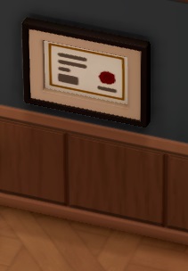 Een Training Certificate aan de muur in een kader en met een rode stempel.