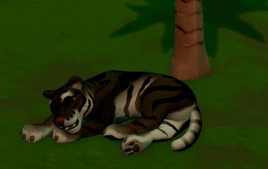 Een donkergekleurde Trance Tiger doet een dutje onder een palmboom. De Trance Tiger is een gewone Tijger, maar met Rorsach-achtige vlekken in plaats van strepen op de rug.