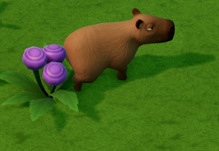 Een Unflappybara in zijn Habitat, met links drie paarse bloemen.